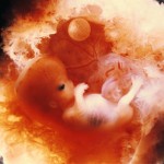 десятая неделя беременности