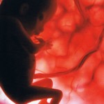 двенадцатая неделя беременности