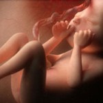 19 неделя беременности