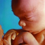 21 неделя беременности