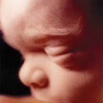 22 неделя беременности